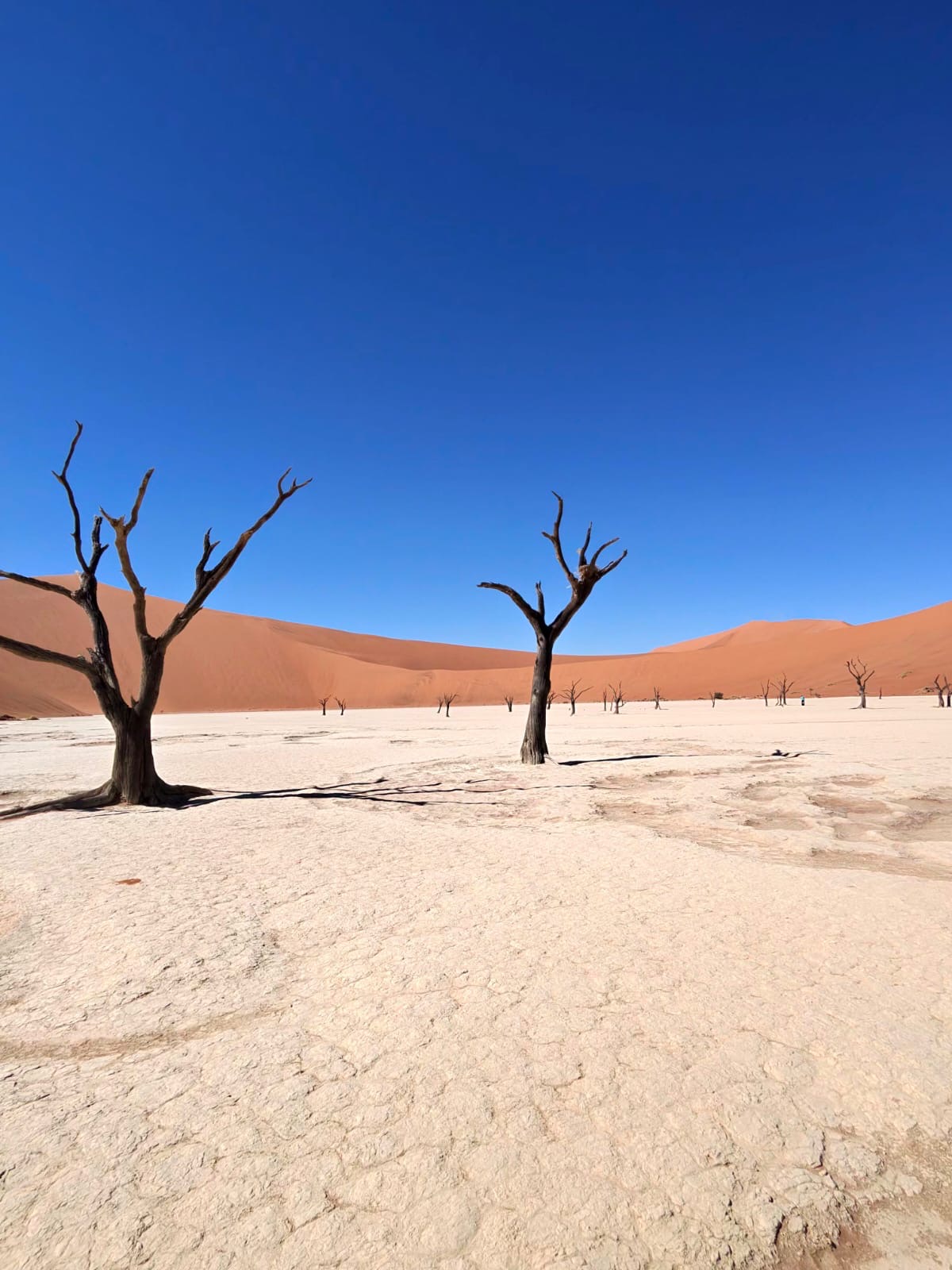 Paysage emblématique de Namibie — voyage sur mesure La Voyagerie