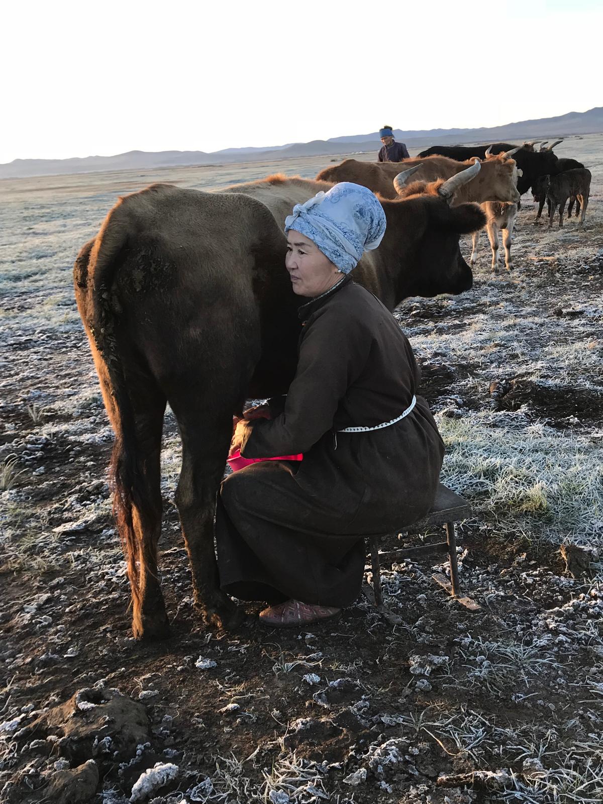 Mongolie : quelle saison pour le grand silence ?