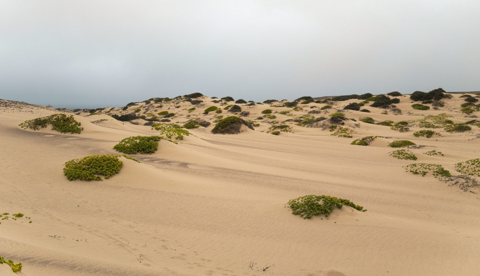 Skeleton Coast, l'Atlantique des naufrages en Namibie — voyage sur mesure La Voyagerie